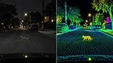 Tesla Robotaxi, la notte &egrave; ancora un problema: Musk teme i gattini grigi sull'asfalto grigio