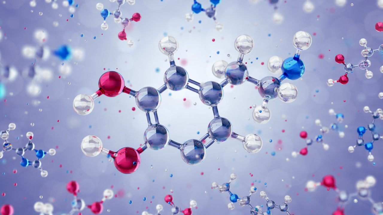 Nasce la Bologna Quantum Alliance per lo sviluppo dei computer quantistici in Italia
