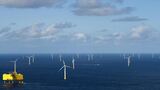 L'Olanda spegne le sue turbine eoliche per permettere il transito degli uccelli migratori  