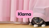 Klarna: l'IA è più efficiente e costa meno; azienda pronta a licenziare la metà dei dipendenti