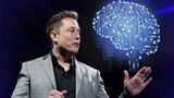 Neuralink: 12 pazienti hanno usato l'impianto cerebrale per oltre 15.000 ore