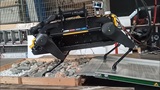 VERO: il robot aspirapolvere a quattro zampe che tiene pulite le spiagge è (quasi) tutto italiano
