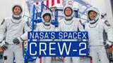 SpaceX Crew-2: il lancio è avvenuto con successo! Ecco come seguire il viaggio
