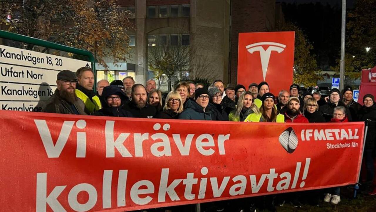 Elon Musk agli scioperanti svedesi 'siete fuori di testa'