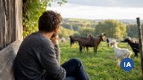 Sempre pi� manager tech sognano di mollare tutto per una fattoria di capre