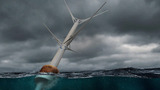 Alberi galleggianti o turbine eoliche? Sono innovativi aerogeneratori offshore ad asse verticale