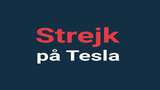 Tesla e lo sciopero svedese: il punto della situazione fra sentenze e azioni di solidarietà   