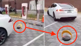 Tesla, a Taiwan, nuovo sistema per riservare le postazioni Supercharger: ecco i video delle prove